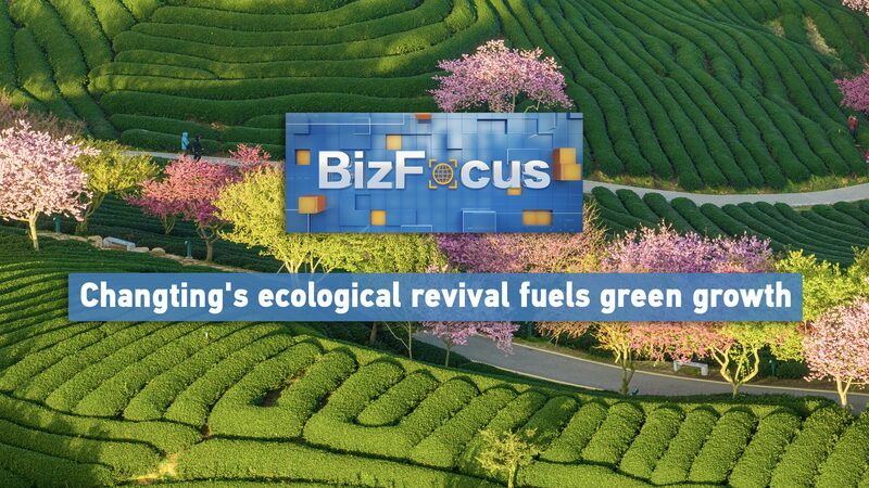Sự Phục Hồi Sinh Thái Của Huyện Changting Thúc Đẩy Tăng Trưởng Xanh video poster