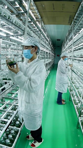 Tài liệu hàng đầu của Trung Quốc tạo động lực mới cho nông nghiệp Tài liệu hàng đầu của Trung Quốc tạo động lực mới cho nông nghiệp video poster