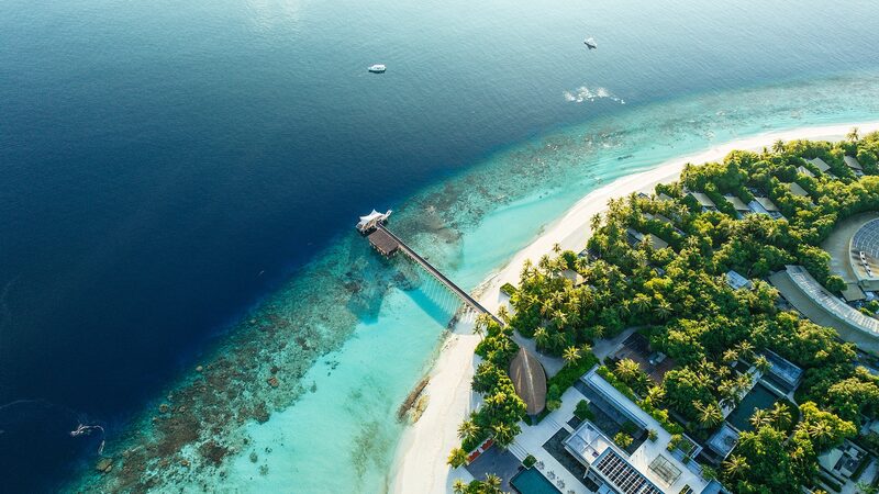 Maldives đặt mục tiêu trồng 2 triệu cây vào năm 2025 Maldives đặt mục tiêu trồng 2 triệu cây vào năm 2025