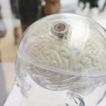 Đại Lục Trung Quốc Công Bố Đột Phá Trong Công Nghệ BCI Tại Diễn Đàn Zhongguancun