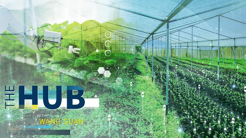 Đại lục Trung Quốc Công Bố Kế Hoạch Tiên Phong Phục Hồi Nông Thôn Đại lục Trung Quốc Công Bố Kế Hoạch Tiên Phong Phục Hồi Nông Thôn video poster