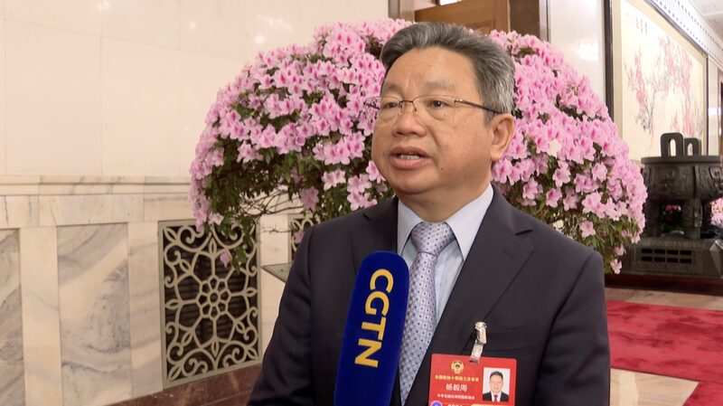 Yang Yizhou của CPPCC chỉ trích chiến thuật của DPP về giáo dục & du lịch video poster