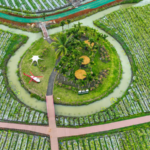 4T84HLZMZRBWOGBAOU47 - Thế Giới Trong Tầm Tay Qionghai của Hải Nam: Thiên Đường Trái Cây Nhiệt Đới Đang Chờ Đón video poster