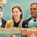 71JTUJY02AXZ76862DGR - Thế Giới Trong Tầm Tay Khách quốc tế khen ngợi hoa mẫu đơn Heze, hướng đến hợp tác tương lai video poster