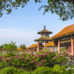 LY3QMAR7I0NKST2QB57X - Thế Giới Trong Tầm Tay Lễ hội Mẫu đơn Heze 2025: Chuyến tham quan văn hóa trực tiếp video poster