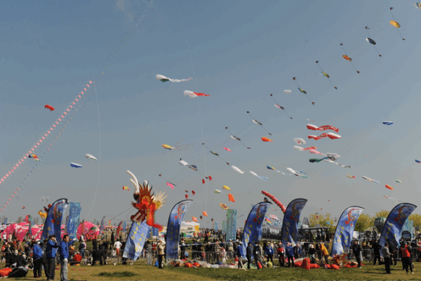 Lễ hội Diều Quốc tế lần thứ 42 tại Weifang làm rực rỡ bầu trời Sơn Đông Lễ hội Diều Quốc tế lần thứ 42 tại Weifang làm rực rỡ bầu trời Sơn Đông video poster