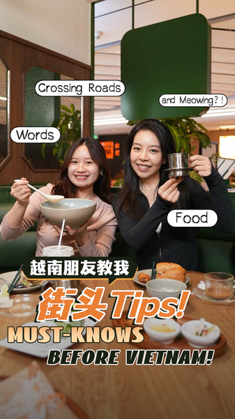 Việt Nam 101: Thưởng thức ẩm thực, học cụm từ & chinh phục thử thách đường phố! video poster