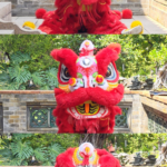 X6D0NVYGAJ4A4SRJSSQY - Thế Giới Trong Tầm Tay Sư Tử Biểu Lộ Cảm Xúc Kiểu Người Một Cách Đáng Yêu video poster