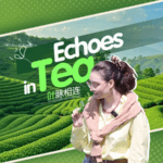 YN7VIA03EIJFEZAVUPNJ - Thế Giới Trong Tầm Tay Dư âm trong tách trà: Kết nối văn hóa qua từng ngụm trà video poster