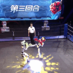 15RHSUO9N9LX0P6511DF - Thế Giới Trong Tầm Tay Các Robot Kung Fu Làm Sáng Hangzhou: Đấu Trường Robot Người Đầu Tiên