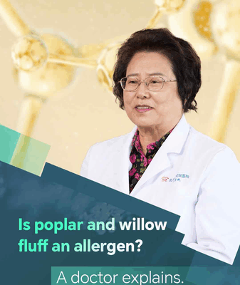 Đánh Bại Dị Ứng Mùa Xuân: Mẹo Xử Lý Phấn Hoa Hoàng Dương & Liễu video poster