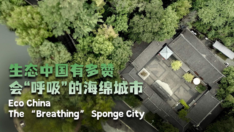 Thành phố bọt biển thở ở quận Bishan: Một cuộc cách mạng đô thị xanh Thành phố bọt biển thở ở quận Bishan: Một cuộc cách mạng đô thị xanh video poster