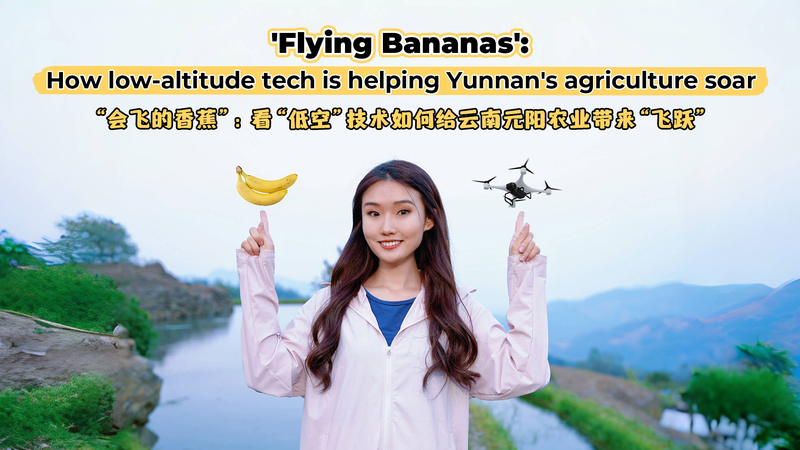 Chuối Bay: Drone Thay Đổi Nông Nghiệp Yunnan Chuối Bay: Drone Thay Đổi Nông Nghiệp Yunnan video poster