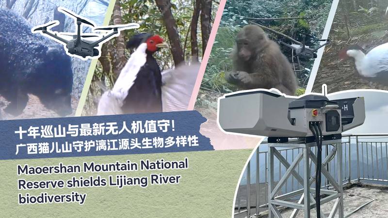 Hành Trình Chia Tay: Kiểm Lâm Kỳ Cựu Tạm Biệt Núi Mao’er ở Quế Lâm Hành Trình Chia Tay: Kiểm Lâm Kỳ Cựu Tạm Biệt Núi Mao'er ở Quế Lâm
