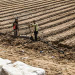 Cuộc khủng hoảng đất nông nghiệp ở Gaza: Chỉ 5% khả dụng giữa xung đột