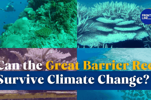 Rạn san hô Great Barrier đấu tranh với biến đổi khí hậu Rạn san hô Great Barrier đấu tranh với biến đổi khí hậu video poster