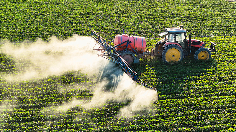 Tuần lễ Vàng thúc đẩy canh tác bông hỗ trợ công nghệ tại Tân Cương video poster