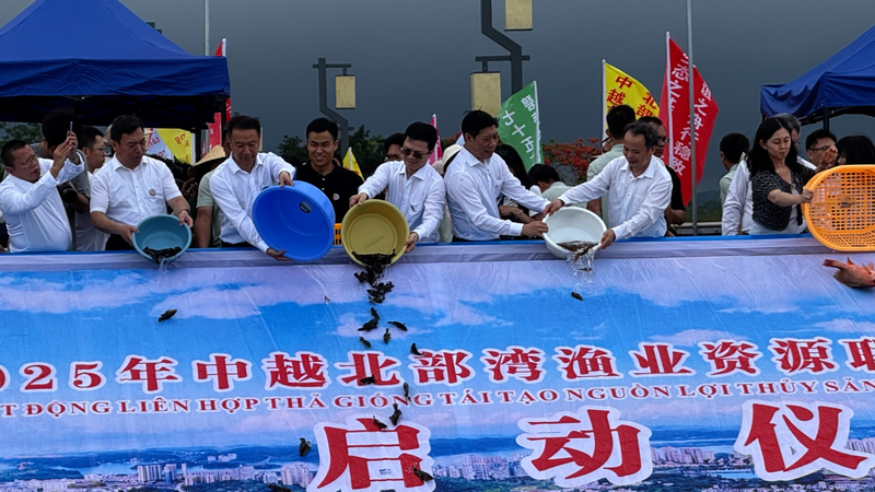 IAXF2W4POYU1AFIBD09J - Thế Giới Trong Tầm Tay Trung Quốc và Việt Nam Hợp Tác Khôi Phục Đời Sống Biển Ở Vịnh Bắc Bộ video poster