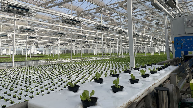 Tập Cận Bình chúc mừng Diễn đàn SCO về Giảm Nghèo và Phát triển Bền vững Tập Cận Bình chúc mừng Diễn đàn SCO về Giảm Nghèo và Phát triển Bền vững