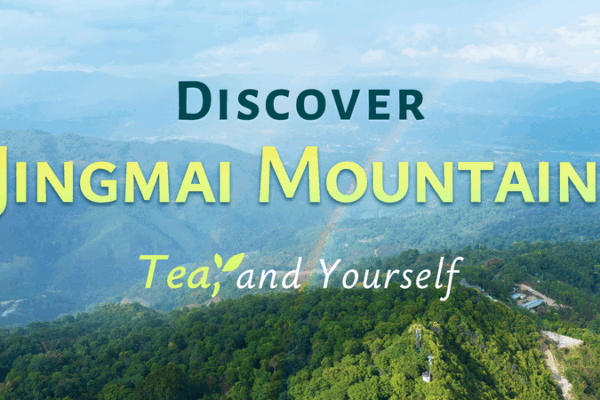 Khám Phá Lại Bản Thân Tại Núi Jingmai Qua Trà & Truyền Thống Khám Phá Lại Bản Thân Tại Núi Jingmai Qua Trà & Truyền Thống video poster