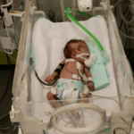 R1L8A4I3TP36L3KFGQKC - Thế Giới Trong Tầm Tay Liên Hợp Quốc Cảnh Báo 14,000 Trẻ Sơ Sinh Tại Gaza Lâm Nguy: Cần Hỗ Trợ Khẩn Cấp