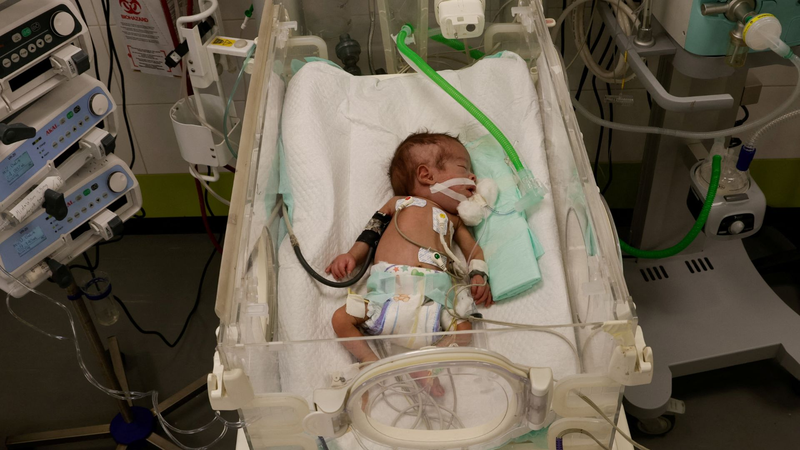 Liên Hợp Quốc Cảnh Báo 14,000 Trẻ Sơ Sinh Tại Gaza Lâm Nguy: Cần Hỗ Trợ Khẩn Cấp