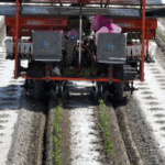 Nông Nghiệp Thông Minh: BeiDou Nâng Cao Việc Trồng Cà Chua ở Tân Cương video poster