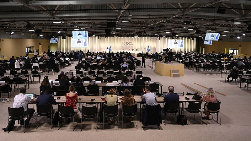 0DQANST38QFLJ897F9LJ - Thế Giới Trong Tầm Tay Hội nghị Đại dương Liên Hợp Quốc: Kế hoạch Hành động Mới cho Bảo vệ Biển