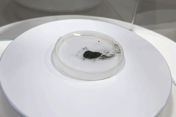 Mẫu Đất Mặt Trăng Tỏa Sáng tại Liên Hợp Quốc Vienna