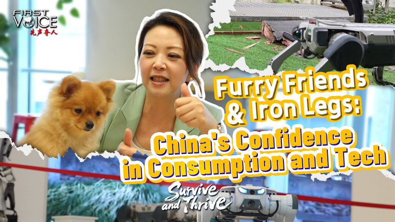 Những Người Bạn Lông Xù & Chân Sắt: Đẩy Mạnh Công Nghệ & Tiêu Dùng của Trung Quốc Những Người Bạn Lông Xù & Chân Sắt: Đẩy Mạnh Công Nghệ & Tiêu Dùng của Trung Quốc video poster