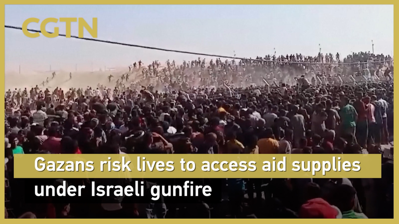 Người dân Gaza liều mạng để nhận viện trợ thiết yếu giữa làn đạn Người dân Gaza liều mạng để nhận viện trợ thiết yếu giữa làn đạn video poster