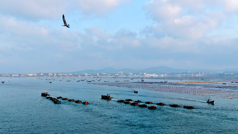 Tập Cận Bình Mở Đường Cho Một Cuộc Cách Mạng Hàng Hải