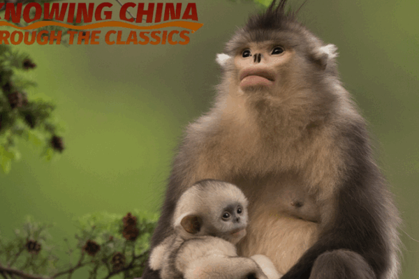 Ngày Môi trường Thế giới: Cùng Đón Nhận Kỳ Quan Thiên Nhiên! Ngày Môi trường Thế giới: Cùng Đón Nhận Kỳ Quan Thiên Nhiên!