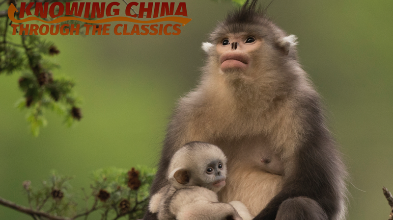 Ngày Môi trường Thế giới: Cùng Đón Nhận Kỳ Quan Thiên Nhiên!