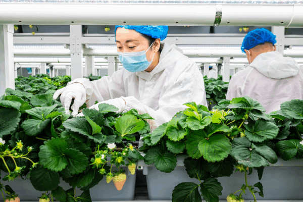 Chuyển đổi xanh thúc đẩy đổi mới bền vững Chuyển đổi xanh thúc đẩy đổi mới bền vững