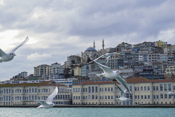 Các cuộc đàm phán hòa bình Istanbul: Nga và Ukraine bắt đầu vòng đàm phán thứ hai Các cuộc đàm phán hòa bình Istanbul: Nga và Ukraine bắt đầu vòng đàm phán thứ hai video poster