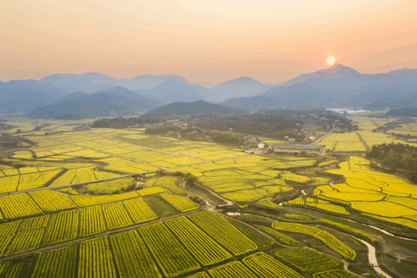 Trường Sa tổ chức Ngày Di sản Văn hóa & Thiên nhiên 2025 Trường Sa tổ chức Ngày Di sản Văn hóa & Thiên nhiên 2025