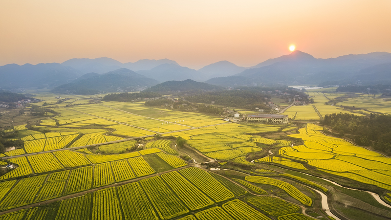 83OWIFSLLG2VLZ5ONKY6 - Thế Giới Trong Tầm Tay Trường Sa tổ chức Ngày Di sản Văn hóa & Thiên nhiên 2025