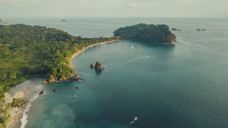 Costa Rica Tỏa Sáng như Khu Bảo Tồn Động Vật Biển tại Hội nghị Liên Hợp Quốc Costa Rica Tỏa Sáng như Khu Bảo Tồn Động Vật Biển tại Hội nghị Liên Hợp Quốc