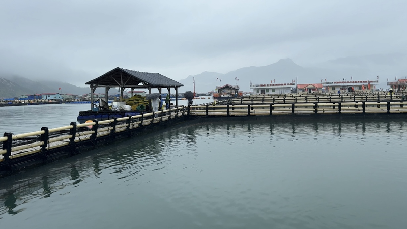 Sandu’ao Chuyển Sang Xanh: Thay Đổi Bền Vững Nhân Ngày Đại Dương Thế Giới Sandu'ao Chuyển Sang Xanh: Thay Đổi Bền Vững Nhân Ngày Đại Dương Thế Giới video poster