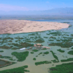 Màu xanh ở sa mạc Tengger: Một cuộc cách mạng năng lượng mặt trời video poster