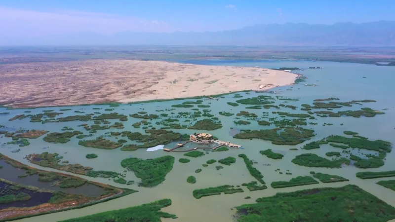 Màu xanh ở sa mạc Tengger: Một cuộc cách mạng năng lượng mặt trời video poster