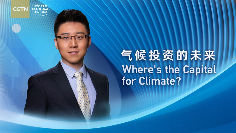 Hành trình Tài chính khí hậu tại Davos mùa hè: COP29 khơi mào hành động Hành trình Tài chính khí hậu tại Davos mùa hè: COP29 khơi mào hành động video poster