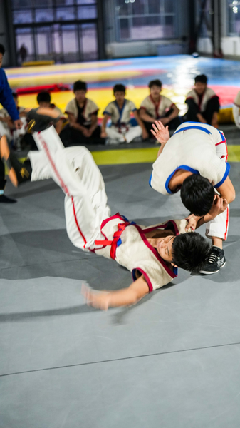 Đấu Vật Trung Quốc: 3000 Năm Kỹ Thuật Và Tài Năng video poster