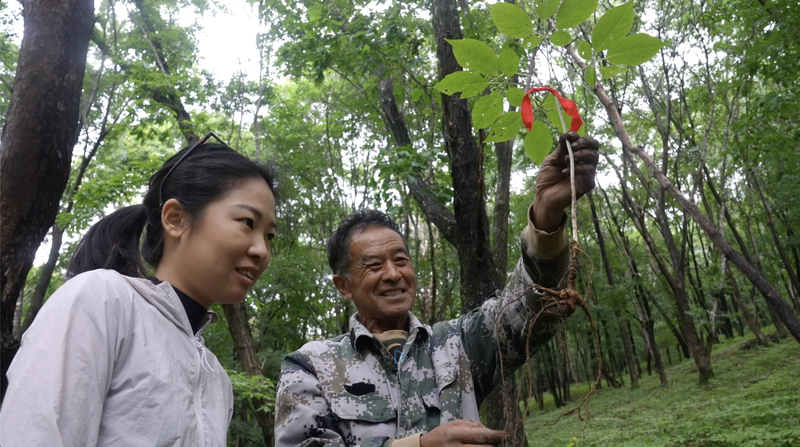 Sự Tái Tạo Nông Thôn của Ji’an: Một Mô Hình Phát Triển Bền Vững Sự Tái Tạo Nông Thôn của Ji'an: Một Mô Hình Phát Triển Bền Vững video poster