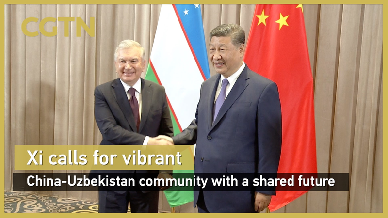 Xi kêu gọi xây dựng cộng đồng Trung Quốc-Uzbekistan sôi động Xi kêu gọi xây dựng cộng đồng Trung Quốc-Uzbekistan sôi động video poster