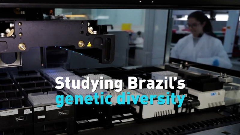 Khám phá Bức Tranh Di Truyền Sặc Sỡ của Brazil Khám phá Bức Tranh Di Truyền Sặc Sỡ của Brazil video poster
