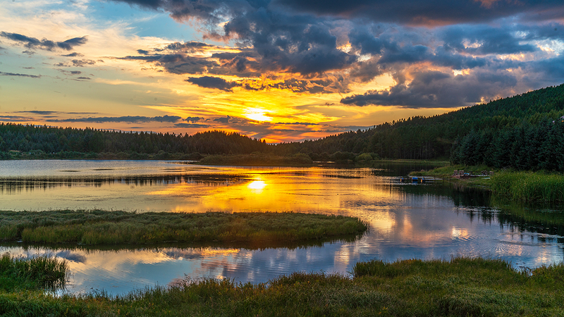 Từ cằn cỗi đến phồn thịnh: Sự biến đổi sa mạc của Trung Quốc