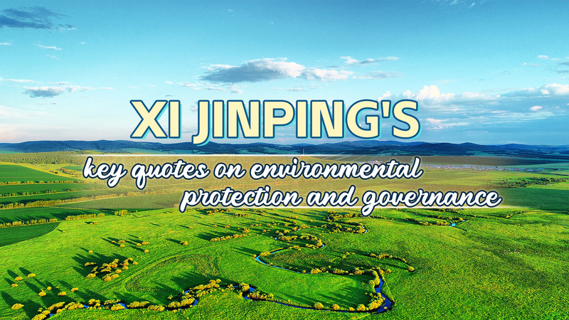 Chủ tịch Tập Cận Bình Ủng hộ Tăng trưởng Xanh trong Ngày Môi trường Thế giới Chủ tịch Tập Cận Bình Ủng hộ Tăng trưởng Xanh trong Ngày Môi trường Thế giới