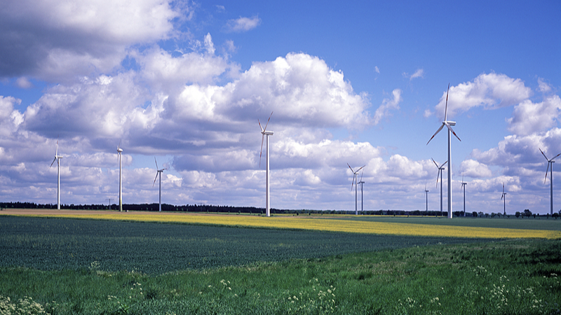 Trung Quốc & EU: Thúc đẩy Cuộc Cách mạng Xanh Toàn cầu